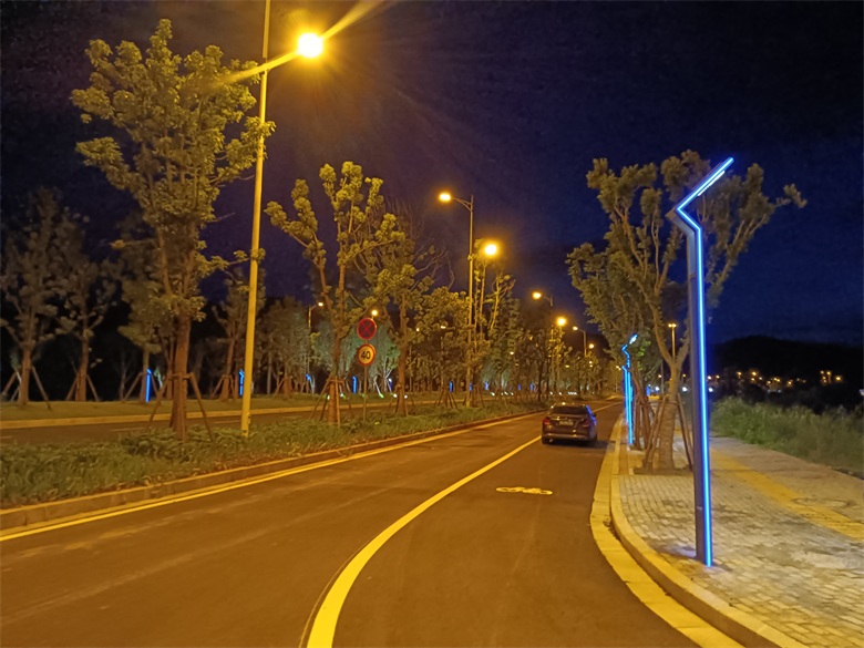 商友照明景观灯、\灯助力龙南市龙南大道提升攚w工E徏? width=
